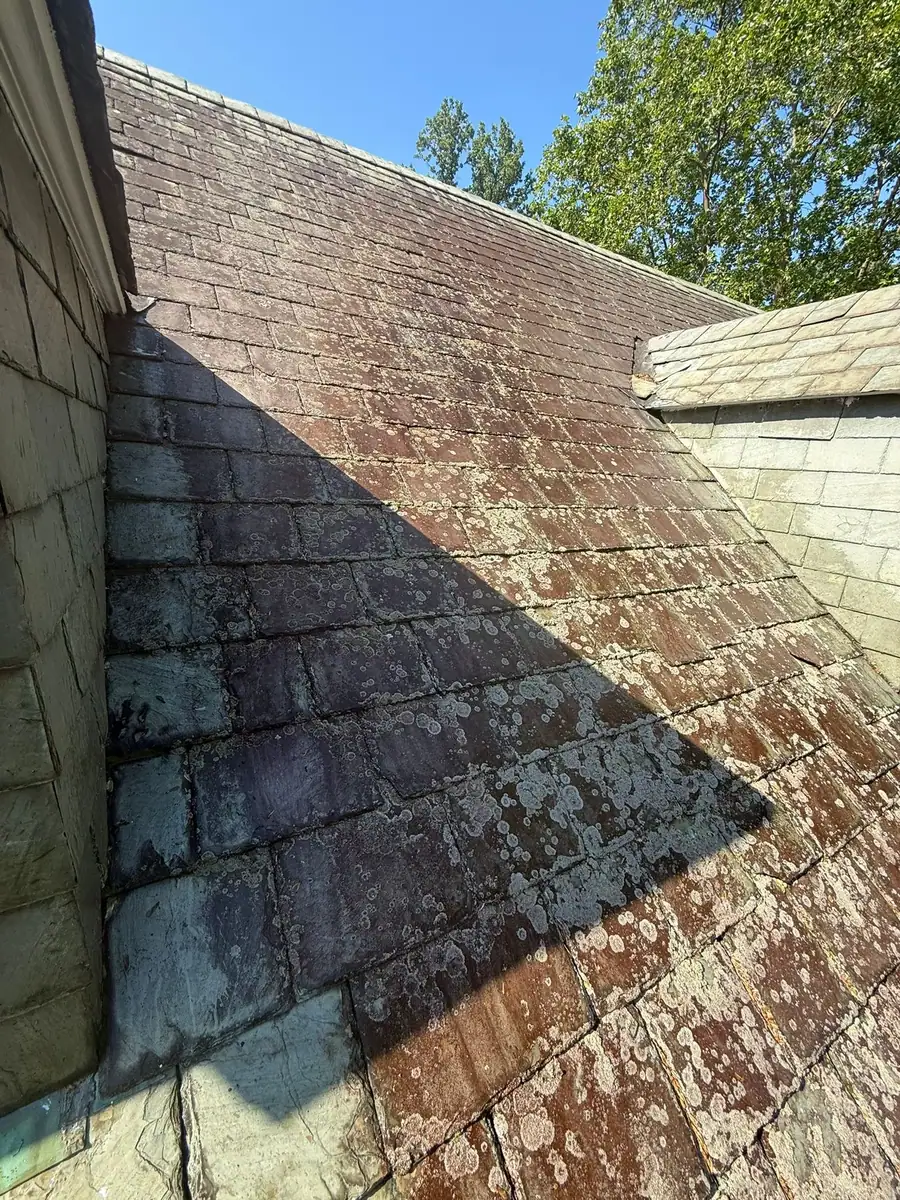 Weathered roof surface before cleaning
