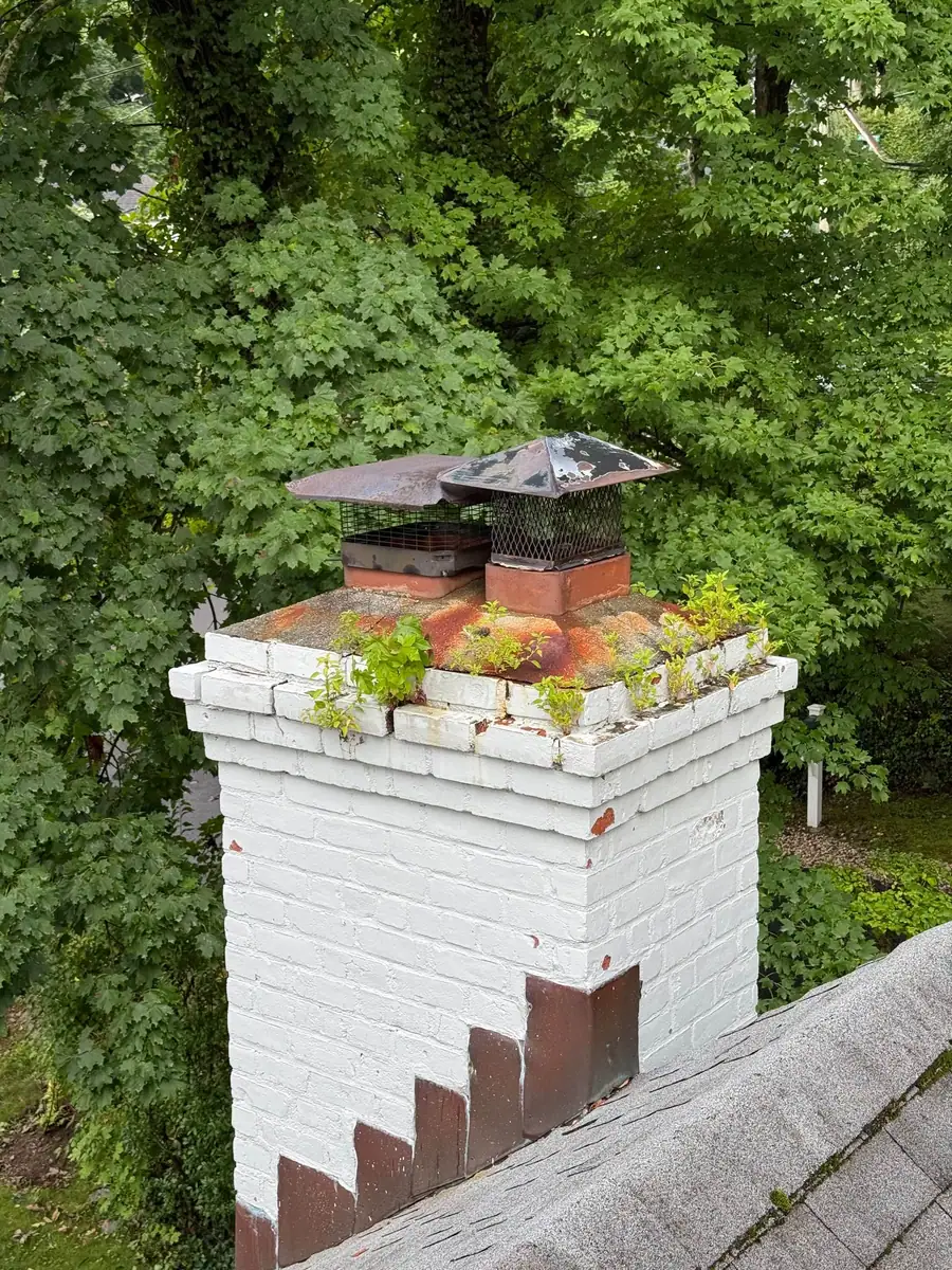 Before photo of a weathered chimney with trees behind it